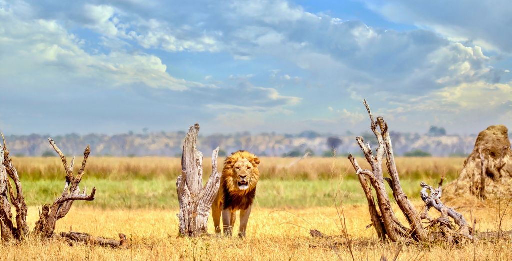 Autotour tra i tesori naturali dell'Africa Meridionale