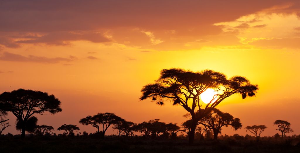Safari da 4 notti con estensione al Temple Point Resort 4*