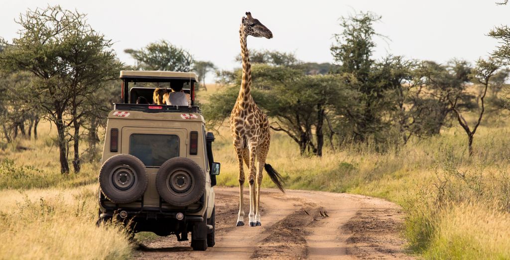Temple Point Resort 4* con possibile estensione in Safari