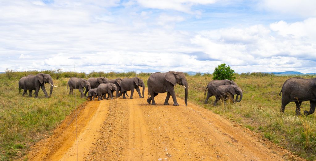 Safari da 4 notti con estensione al Temple Point Resort 4*