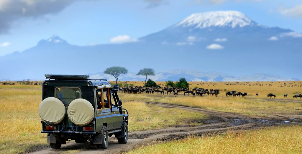 Safari in 3 o 5 notti e Sun Palm Beach Resort 4*