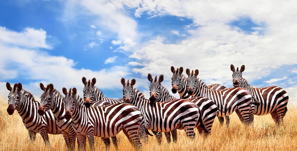 Neptune Paradise Beach Resort & Spa 4* ed eventuale safari