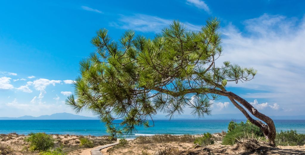 Hydra Beach Resort 5*