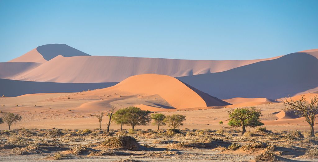 Circuito de 8 noches: Namibia desde el cielo