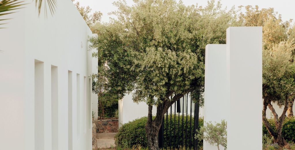 Minos Beach Art Hotel 5* Design Hotels