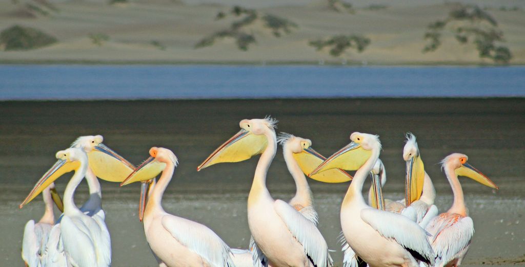 Tour di gruppo: In volo sul Paese