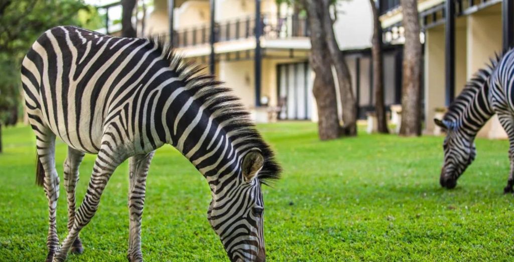 Combinato Royal Livingstone Hotel by Anantara 5* e Anantara Bazaruto Island Resort 4*