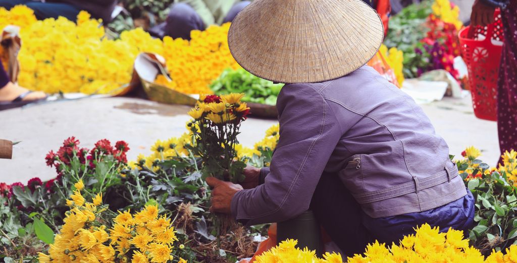 Tour incredibile con possibile estensione di 3 notti a Ninh Binh
