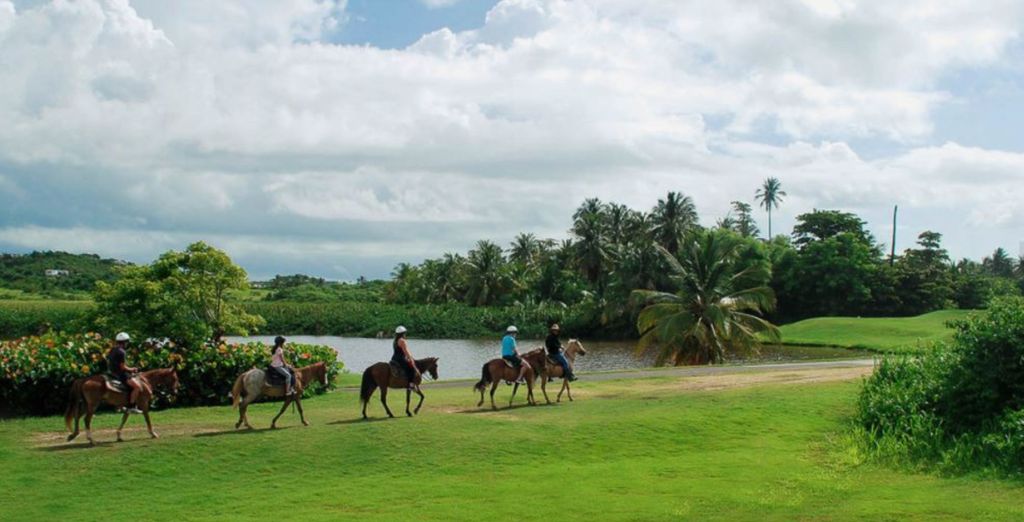Wyndham Palmas Beach and Golf Resort
