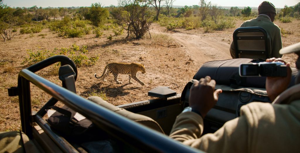 Autotour "Garden Route" alla scoperta degli affascinanti territori