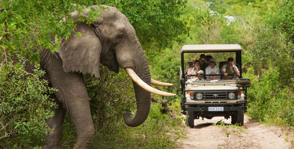 Autotour "Garden Route" alla scoperta degli affascinanti territori