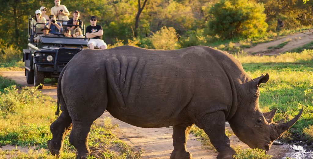 Autotour "Garden Route" alla scoperta degli affascinanti territori
