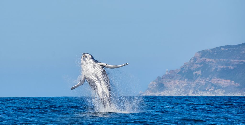 Autotour "Garden Route" alla scoperta degli affascinanti territori