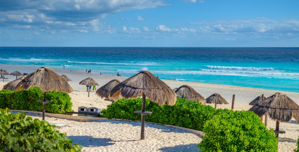 Secrets The Vine - Adults Only 5* con possibile estensione al Secrets Aura Cozumel 5* - Adults Only