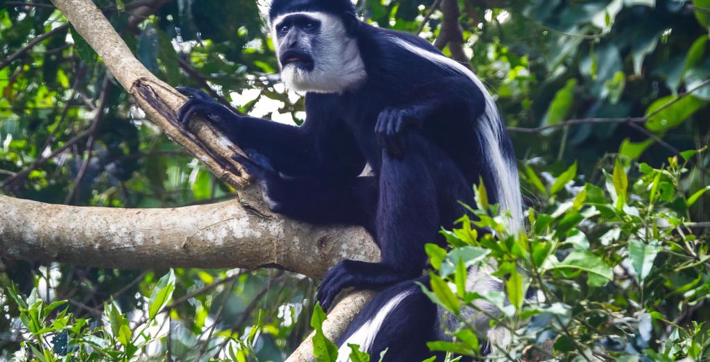 Tour privato: Alla scoperta della flora e della fauna locale