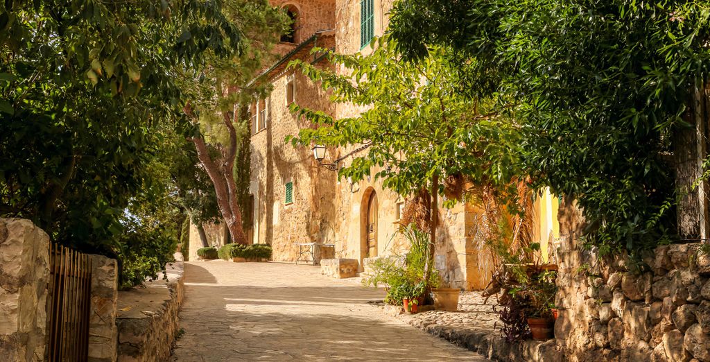 Tent Bahía de Palma