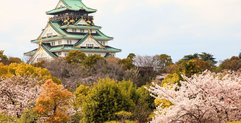 Tour in libertà: Monte Fuji e i tesori nipponici