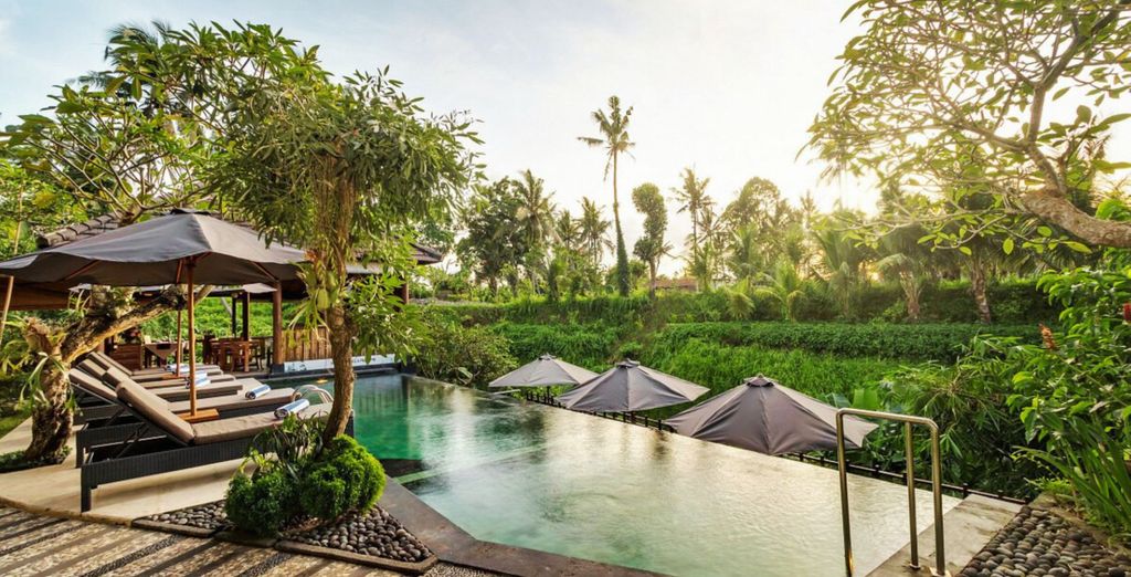 Mayura Ubud Retreat 4*, The Acala Shri Sedana 4*, Monolocale Luxury Resort e Spa Seminyak 5*