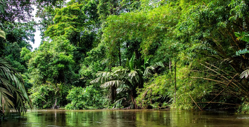 8 - 12 night road trip: Pura Vida Costa Rica   