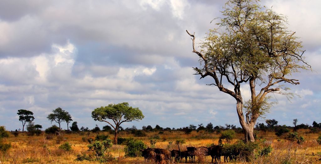 Kubu Safari Lodge 4*