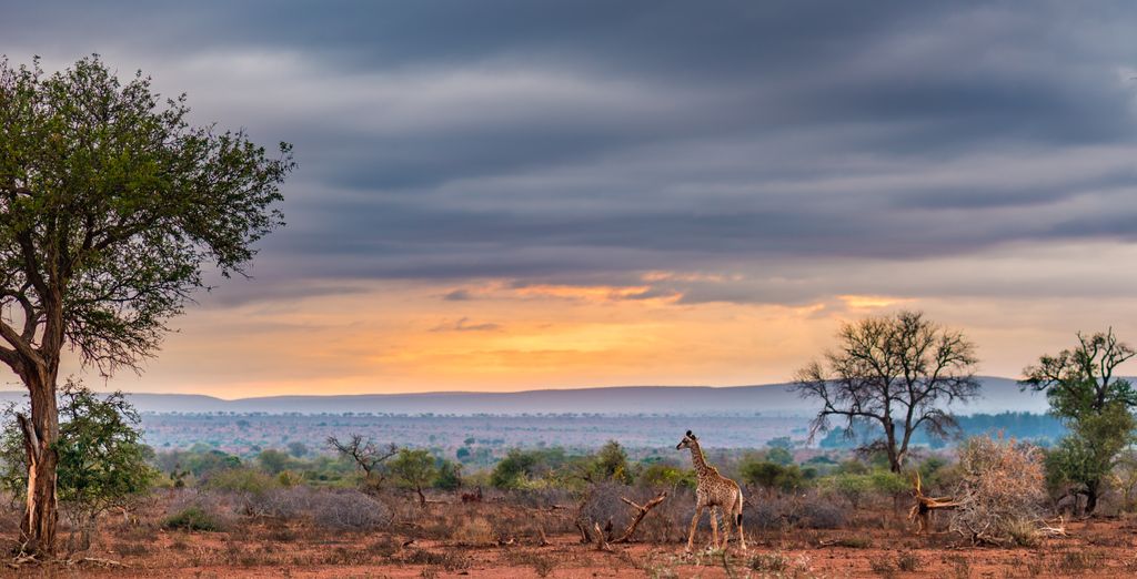 Kubu Safari Lodge 4*