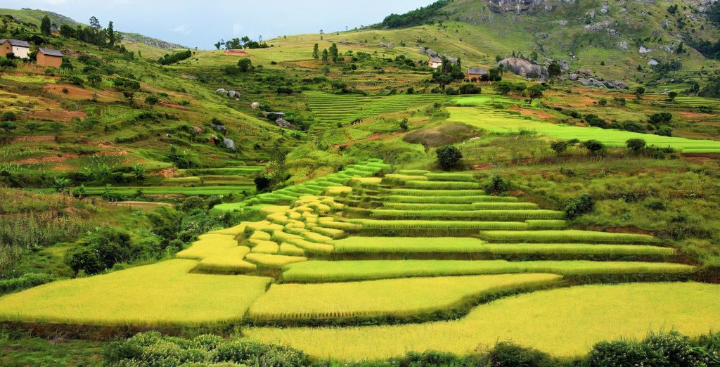 Circuit privé Le Sud de Madagascar