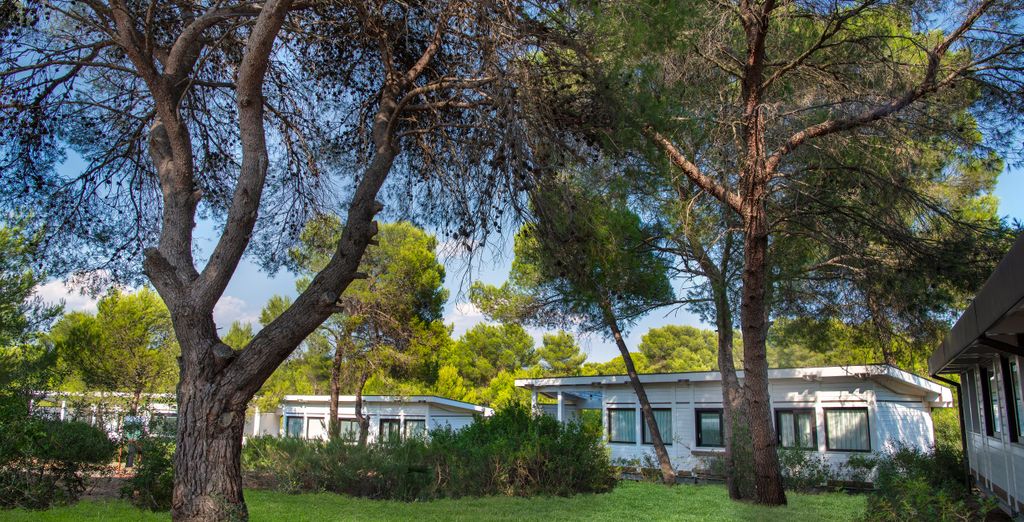 Alborea Ecolodge Resort 5*