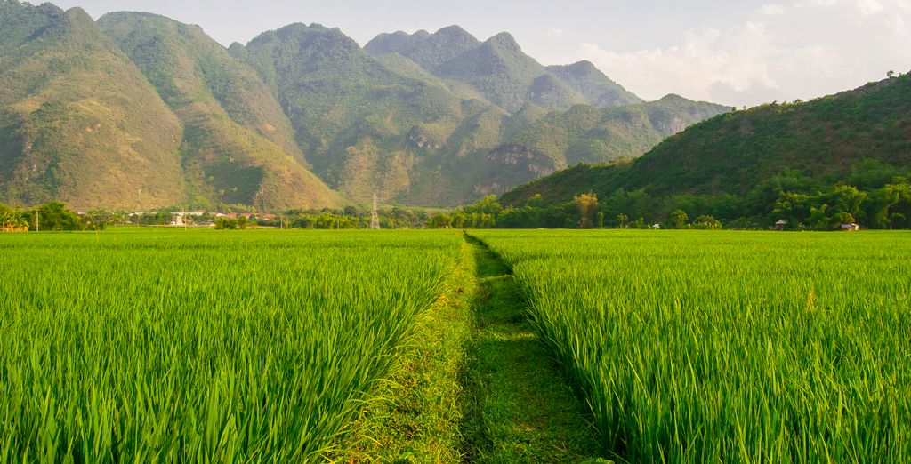 Tour in libertà: Tra colori e bellezze del Sud-Est asiatico