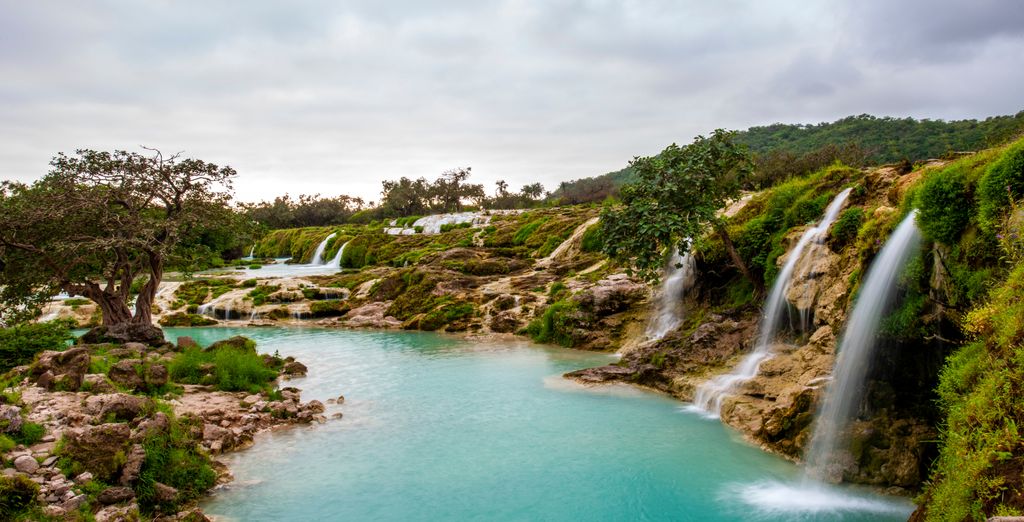 Tour alla scoperta delle bellezze naturali con safari
