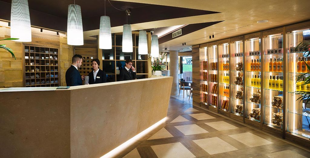 Alevic Hotel Sirmione 4*