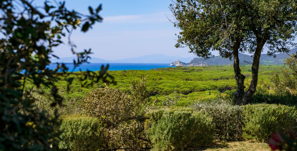 Residence Park Solemaremma