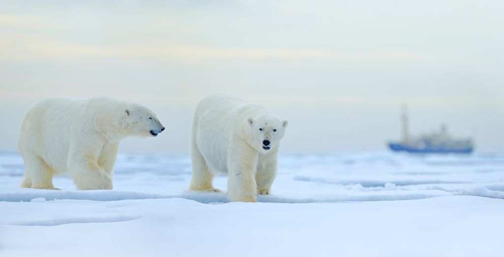 Crociera nel Mar Glaciale Artico alle porte della Groenlandia