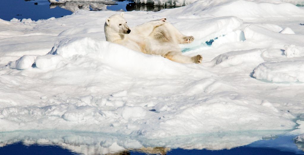 Crociera nel Mar Glaciale Artico alle porte della Groenlandia