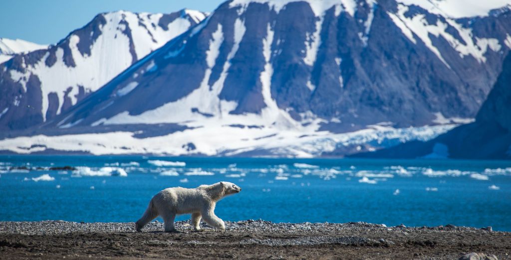 Crociera nel Mar Glaciale Artico alle porte della Groenlandia