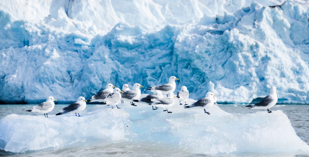 Crociera nel Mar Glaciale Artico alle porte della Groenlandia