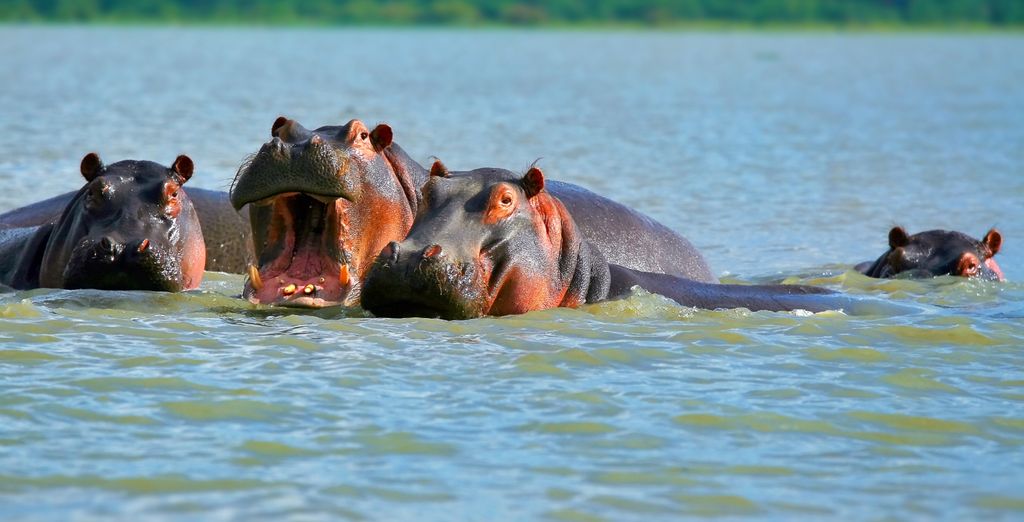 Safari privato "L'essenza del Kenya" e Sarova Whitesands Beach Resort & Spa 4*