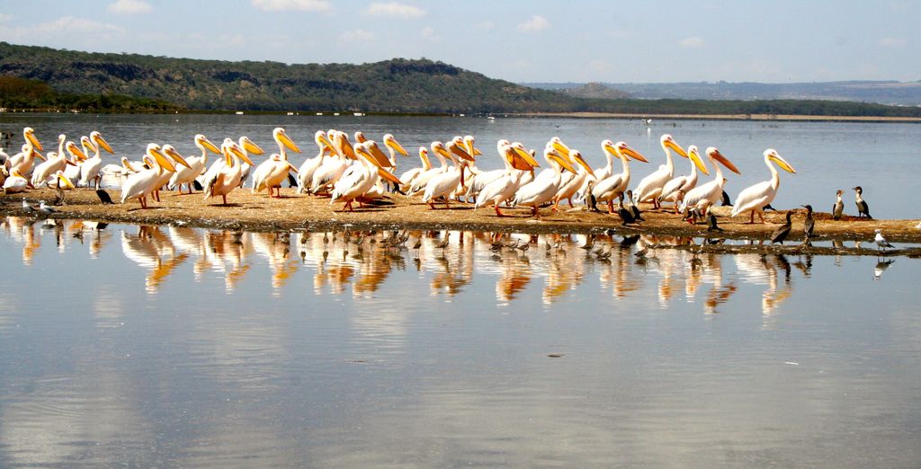 Safari di 6 notti con possibile estensione presso il The One Resort Zanzibar 4*