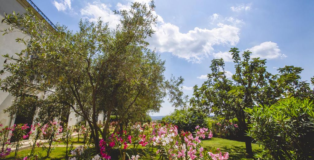 Kallikoros Hotels Spa Resort 4*