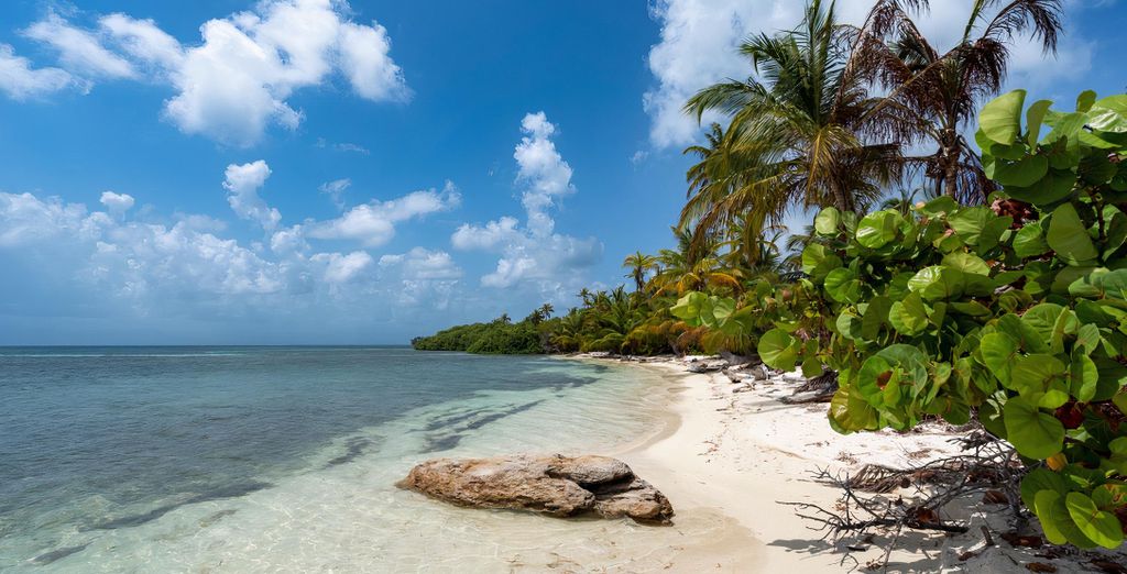 Combinato Central hotel Panama Casco Viejo 5* e Gamboa Rainforest Reserve 5*