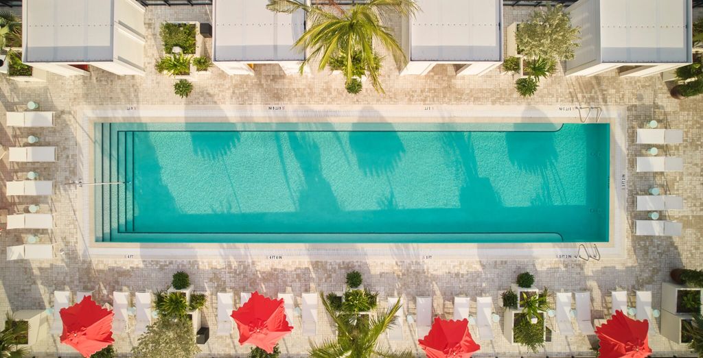 Arlo Wynwood 4*