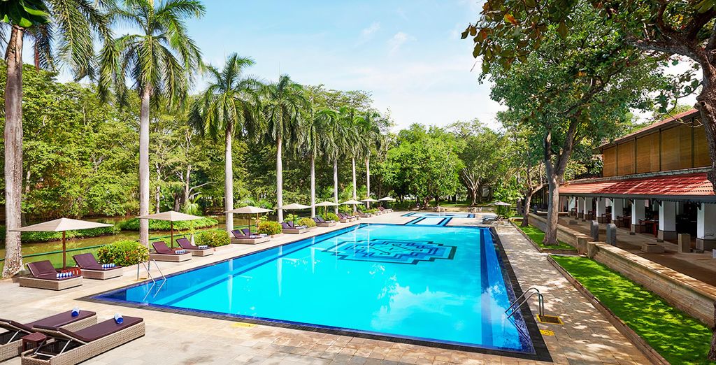 Tour privato: Le meraviglie dello Sri Lanka ed estensione in spiaggia