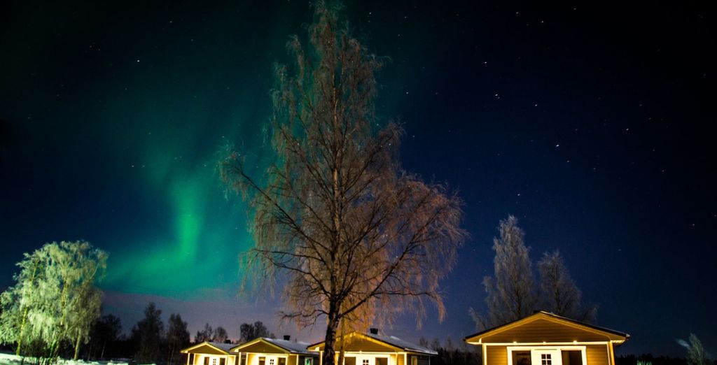Soggiorno multiattività: Nordic Lapland Resort 