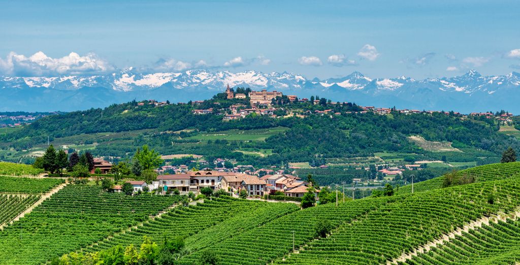 Wine Tour dalla Riviera sino alle Langhe