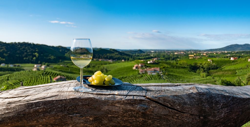 Wine Tour dalla Riviera sino alle Langhe