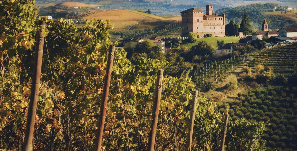 Wine Tour dalla Riviera sino alle Langhe
