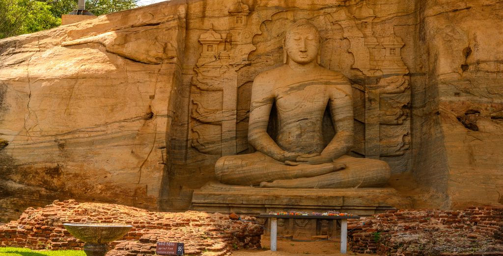Tour privato: I colori dello Sri Lanka