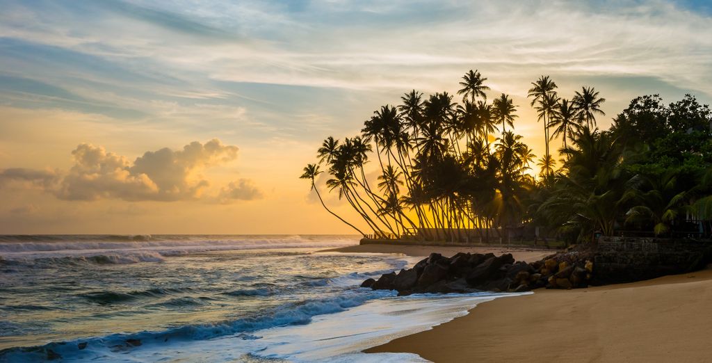Tour privato "Le ricchezze dello Sri Lanka"