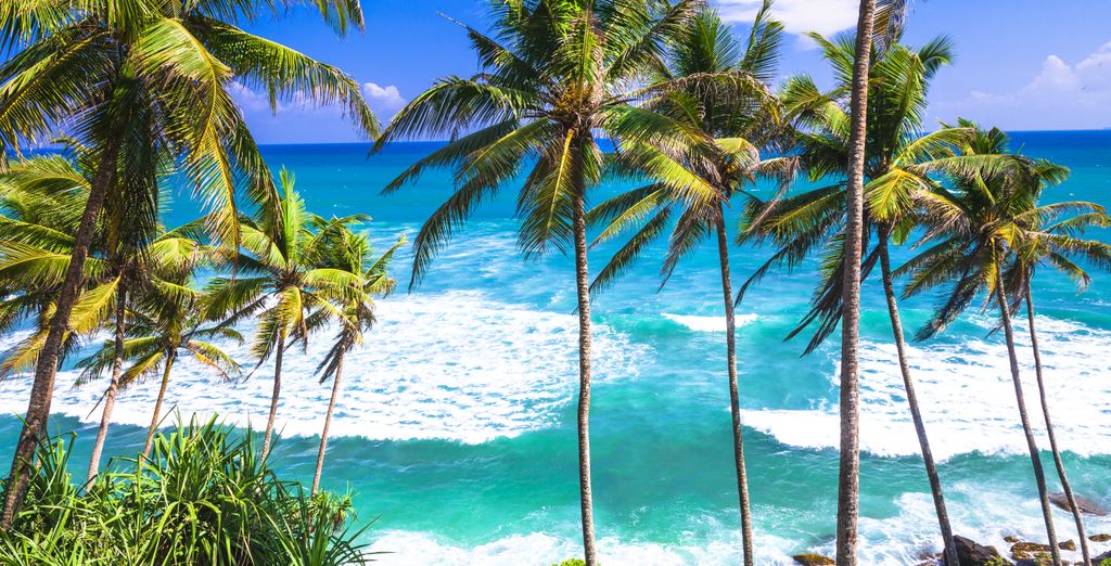 Tour privato "Le ricchezze dello Sri Lanka"
