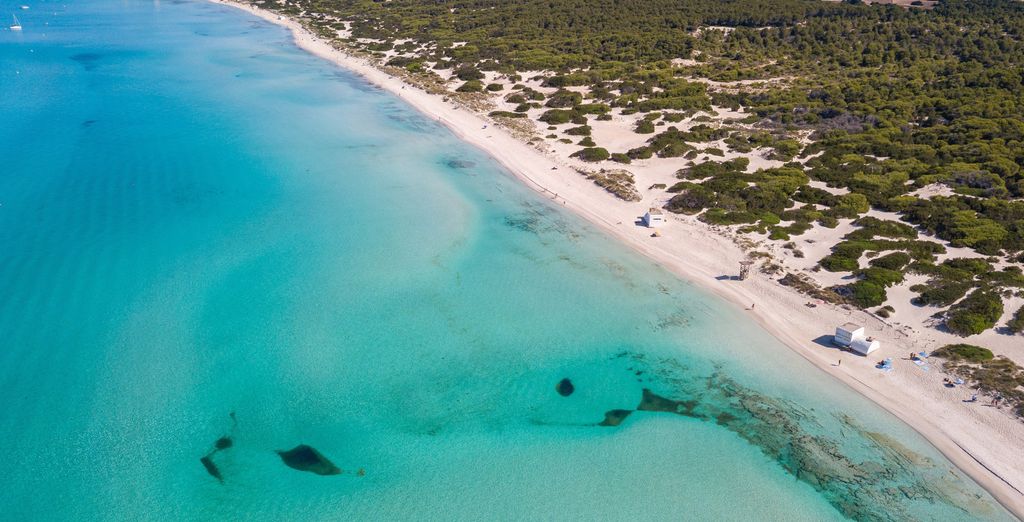 Blau Colonia Sant Jordi Resort & Spa - con opción de Ferry