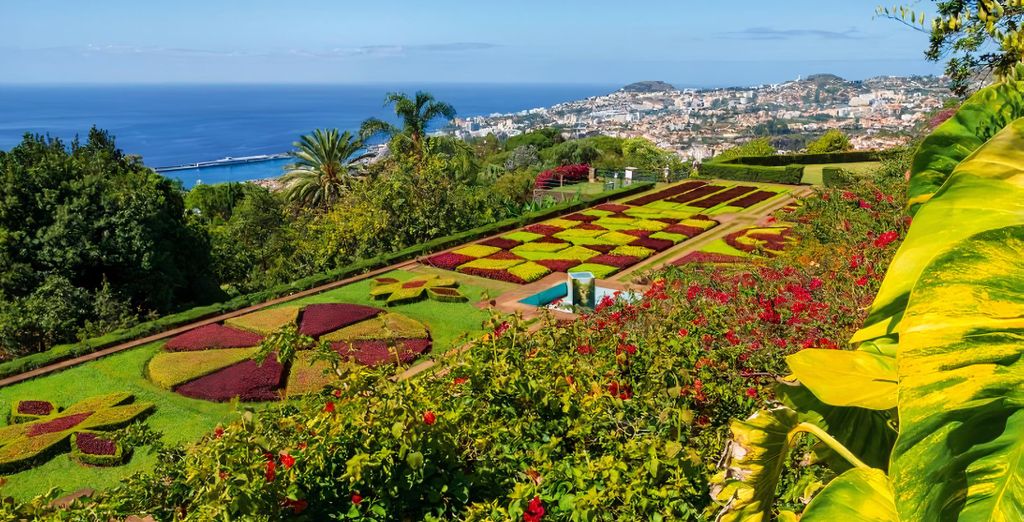 Autotour: Alla scoperta dell'isola dei fiori
